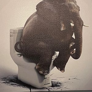 Meet your Posher, Alexander